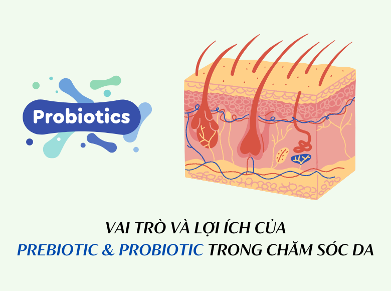 Tìm hiểu vai trò và lợi ích của Prebiotic và Probiotic trong chăm sóc da