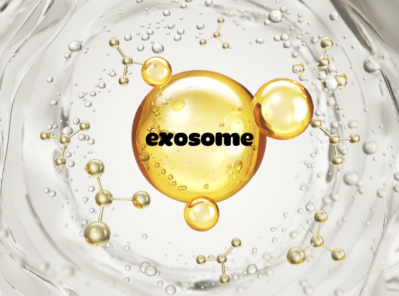  XU HƯỚNG LÀM ĐẸP 2026