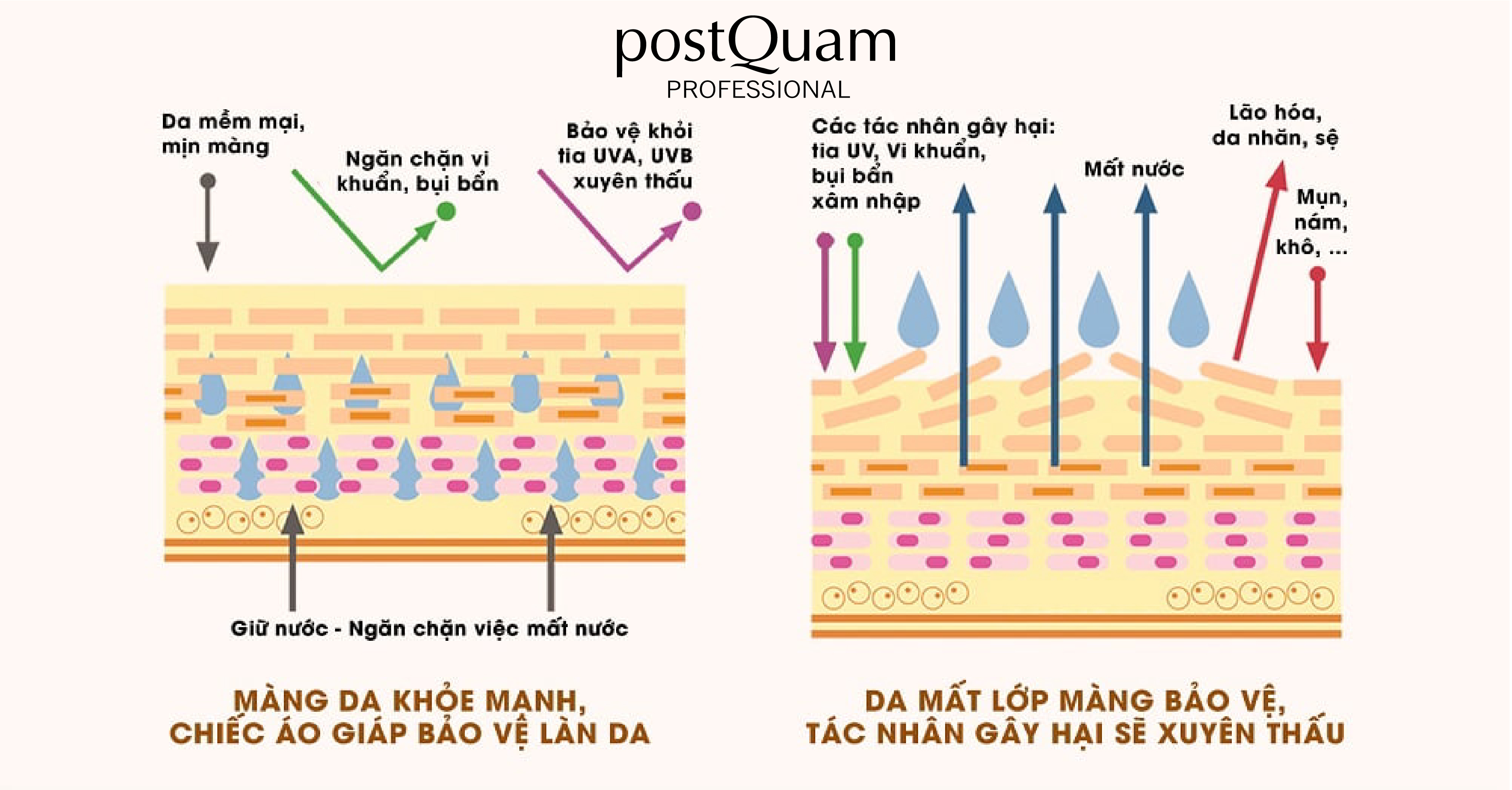 Hàng rào bảo vệ da là gì? Tại sao nó lại quan trọng đối với da?